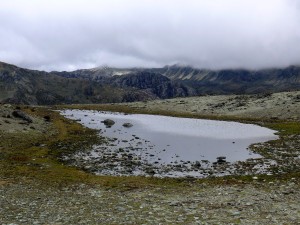 Laguna de altura Laguna de altura