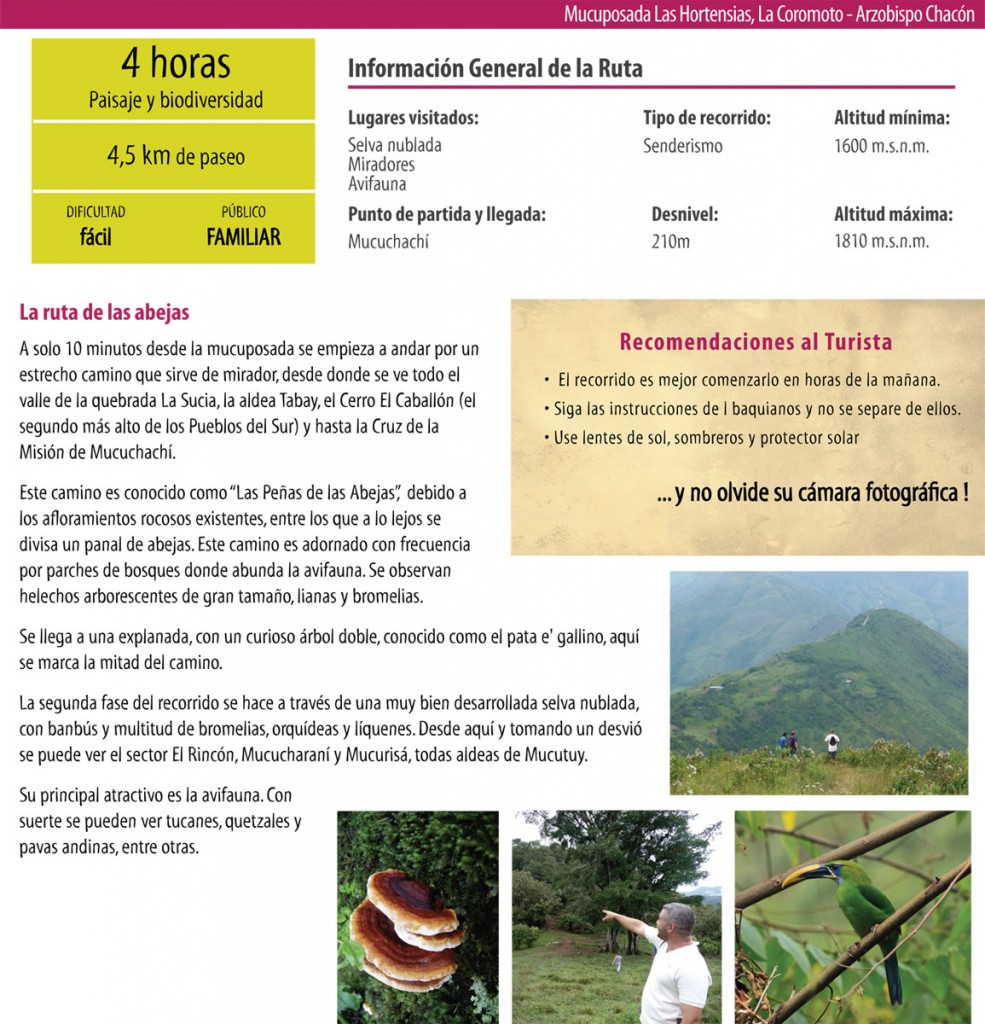 Ruta de las Abejas