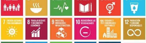 Objetivos desarrollo sostenible 2030. Fuente: PNUD