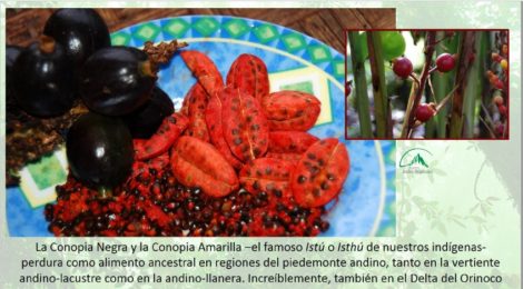 Para Proyecto ANDES SUR fase II Exploran atractivo turístico de alimentos tradicionales de Pueblos del Sur